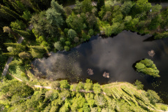 Aulanko, näkötorni, luonto, aulangonjärvi, nähtävyys, turisti, kesä, näköala, ilmakuvaus, vesi, järvi, vesistöKuvassa Aulangon joutsenlampi